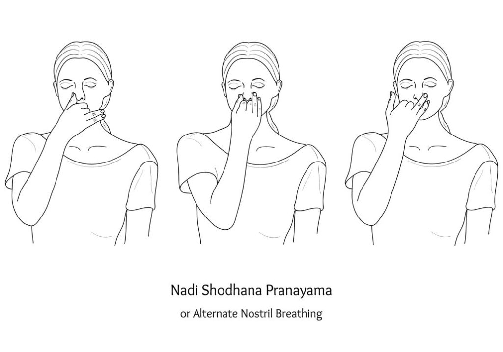 pranayama nadi shodhana alternate nostril breathing
Easy alternate nostril breath for beginners